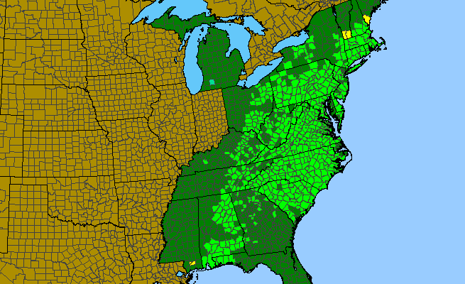 The range of Sericocarpus asteroides